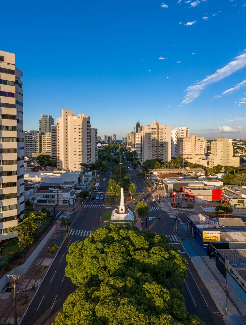 Avenida arborizada com prédios e monumento no canteiro central